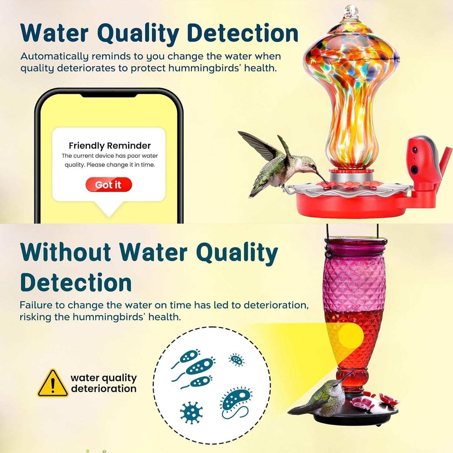 TT Nature Solar Bird Feeder Camera 2K HD, Smart Hummingbird Feeder with AI Bird Identification