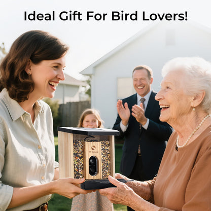 Solar Bird Feeder