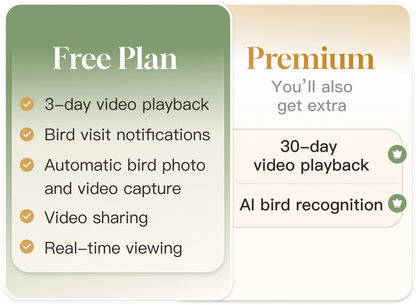 Hummingbird Feeder Pro 4